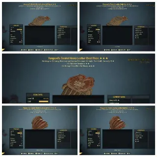 Vang sent leather set