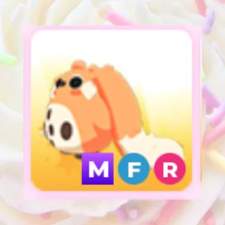 mfr cabbit ♡ mega cabbit