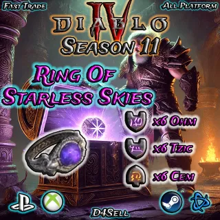 D4 s11 Ring of Starless Skies Runewords