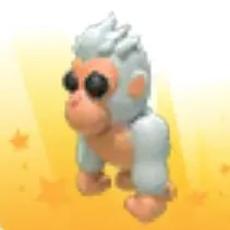 Albino Gorilla
