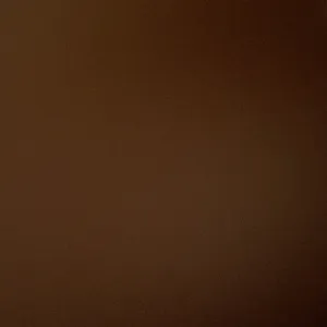 black ops 7/ Wz Blitz