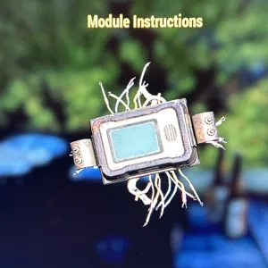 Module Instructions