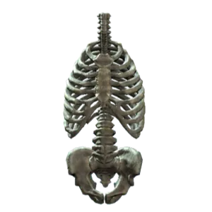 Soldier’s Remains