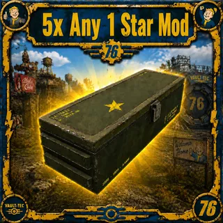 5x Any 1 Star Mod