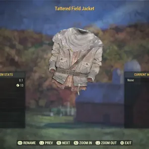 TATTERED FIELD JACKET