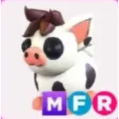 MFR Mini Pig