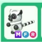 MFR Ring-Tailed Lemur