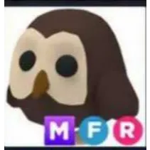 Mfr Owl