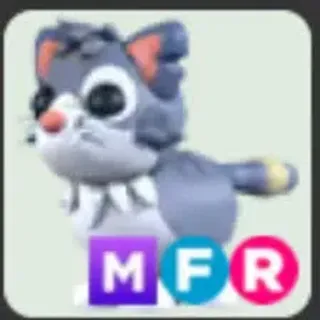 MFR Alley Cat