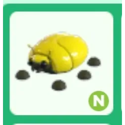 Neon no potion Golden Scarab