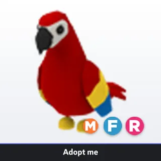 MFR Parrot 