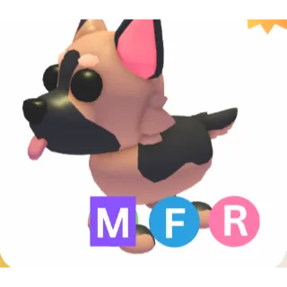 MFR German Shepherd