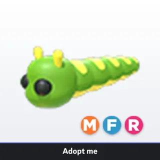 MFR Caterpillar 