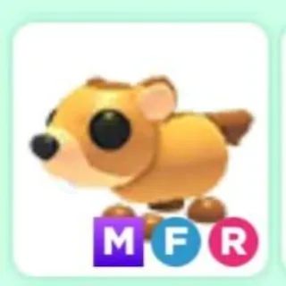 MFR Groundhog