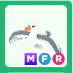 Pet | MFR Albatross