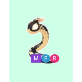 MFR gilded snake