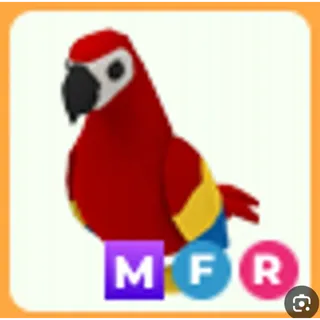 MFR Parrot 