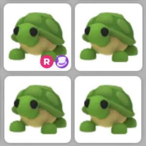 4x Turtle