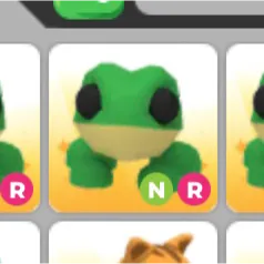 NR FROG