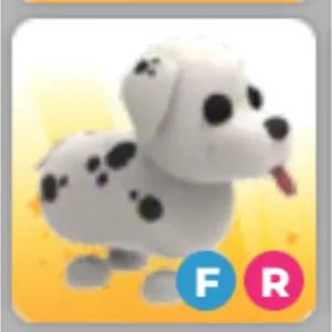 FR DALMATION