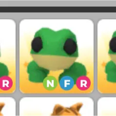 NFR FROG