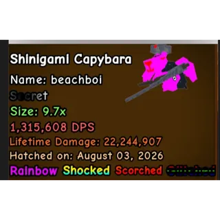 1.3M DPS RB Glitched Shinigami Capy