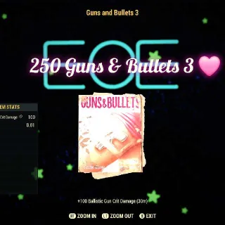 250 Guns and Bullets 3