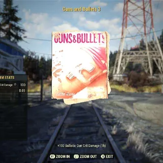 1000 Guns and Bullets 3