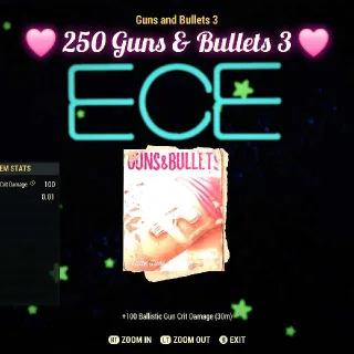 250 Guns and Bullets 3