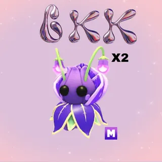 2x MEGA VIOLET FRIEND 