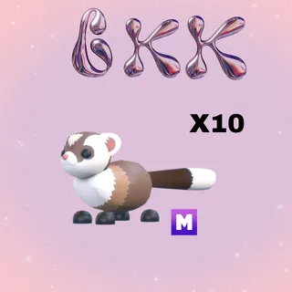 10x MEGA FOOTED FERRET
