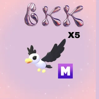5X MEGA PILOT GULL