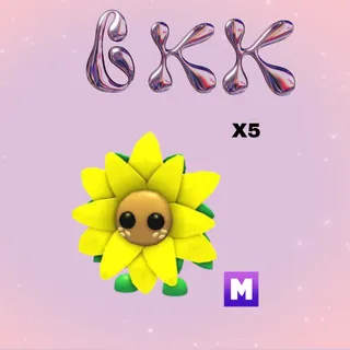 5x MEGA SUNFLOWER FRIEND 