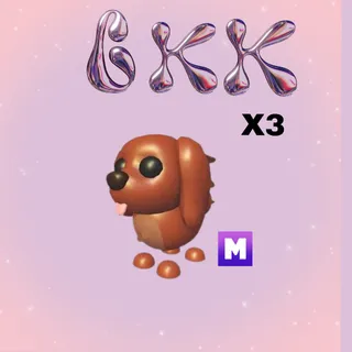 3X MEGA IRISH SETTER