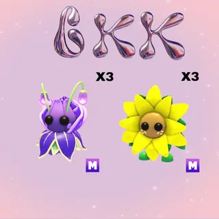 3X MEGA SUNFLOWER AND VIOLET FRIEND
