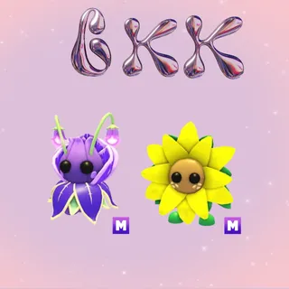 1X MEGA SUNFLOWER AND VIOLET FRIEND