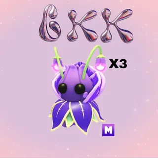 3x MEGA VIOLET FRIEND 