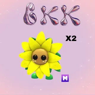 2x MEGA SUNFLOWER FRIEND 
