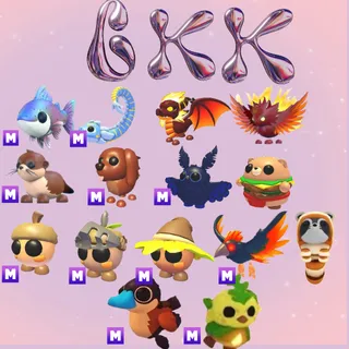 SUMMERFEST 2026 BUNDLE