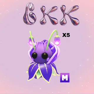 5x MEGA VIOLET FRIEND 