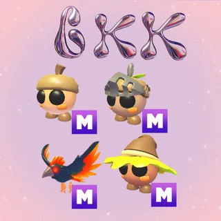 OKEE & CONDOR BUNDLE