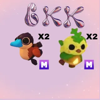 ADOPT ME BUNDLE 3