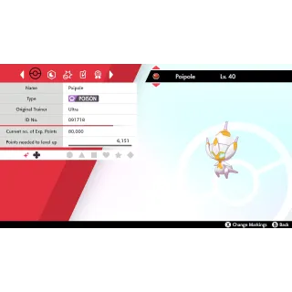 🌟2018 Shiny Poipole Event | Pokémon Sword & Shield | Untouched🌟