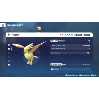 🌟6 IVs Shiny Alpha Battle Ready Pidgeot | Pokémon Legends: Z-A🌟