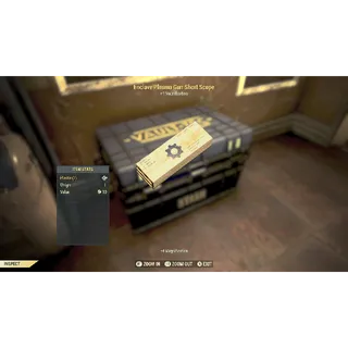 Enclave short scope