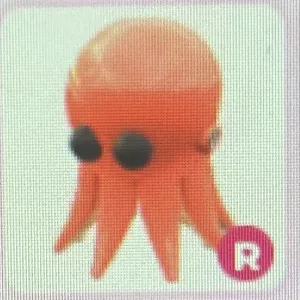 R Octopus