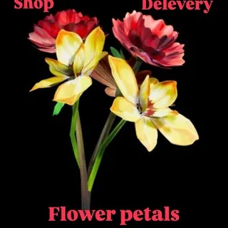 STW 1 000 X FLOWER PETALS