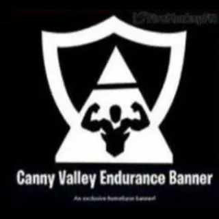 STW BANNER CARRY CANNY VALLEY FORTNI