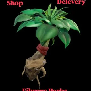 STW 1 000 X FIBROUS HERBS