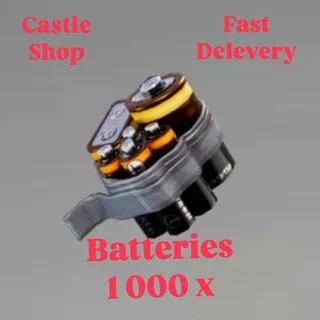 STW 1 000 X BATTERIES